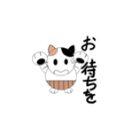 腹巻きを着けた猫（個別スタンプ：11）