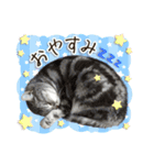 じぇーちゃんみーちゃんスタンプ＠猫写真（個別スタンプ：5）