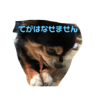 くろのごあいさつ2（個別スタンプ：3）