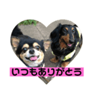 くろのごあいさつ2（個別スタンプ：8）