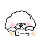 もふもふわんこちゃん（個別スタンプ：6）