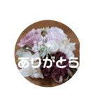 こひつじレター でかもじ（個別スタンプ：2）