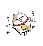 動く 擦れねこ（ぶち）（個別スタンプ：10）