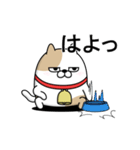 動く 擦れねこ（ぶち）（個別スタンプ：16）