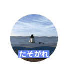 経済軽音御用達2018（個別スタンプ：9）