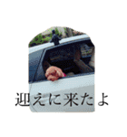 犬のフラン君（個別スタンプ：1）