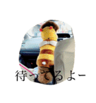 犬のフラン君（個別スタンプ：3）