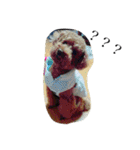 犬のフラン君（個別スタンプ：8）