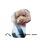 犬のフラン君（個別スタンプ：9）