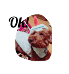 犬のフラン君（個別スタンプ：10）