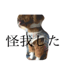犬のフラン君（個別スタンプ：14）