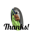 犬のフラン君（個別スタンプ：19）