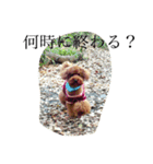犬のフラン君（個別スタンプ：22）