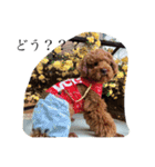 犬のフラン君（個別スタンプ：27）