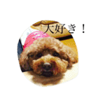 犬のフラン君（個別スタンプ：32）