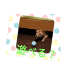 ココアちゃん！（個別スタンプ：14）