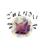 ロンチーくりちゃん（個別スタンプ：15）