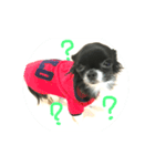 リップのすたんぷ（個別スタンプ：2）