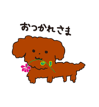 プードル犬の日常（個別スタンプ：13）