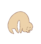 馴染みの動物（個別スタンプ：36）