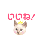 ねこすた・シャムミックス猫バージョン（個別スタンプ：3）