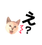 ねこすた・シャムミックス猫バージョン（個別スタンプ：7）