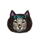 まゆげちゃんキャッツ（個別スタンプ：1）
