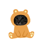 まゆげちゃんキャッツ（個別スタンプ：5）