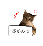 黒田ししゃも 2（個別スタンプ：24）