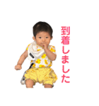そたんぷ（フルセット）（個別スタンプ：11）