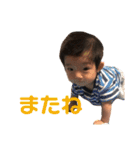 そたんぷ（フルセット）（個別スタンプ：13）