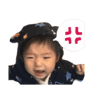そたんぷ（フルセット）（個別スタンプ：20）