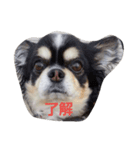 よん友（個別スタンプ：3）