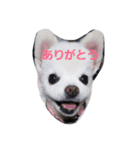 よん友（個別スタンプ：6）