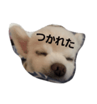 よん友（個別スタンプ：7）