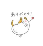 まめねこ～豆のような形をした猫～（個別スタンプ：1）