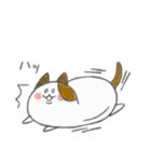 まめねこ～豆のような形をした猫～（個別スタンプ：7）