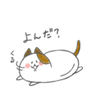 まめねこ～豆のような形をした猫～（個別スタンプ：8）