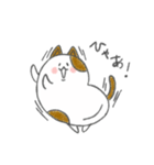 まめねこ～豆のような形をした猫～（個別スタンプ：12）