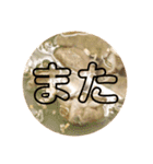 【餃子倶楽部】（個別スタンプ：12）