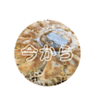 【餃子倶楽部】（個別スタンプ：25）