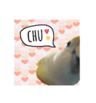 コザクラインコ ふき vol.1（個別スタンプ：8）