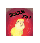 コザクラインコ ふき vol.1（個別スタンプ：12）