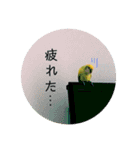 コザクラインコ ふき vol.1（個別スタンプ：13）