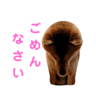 ソラマメタロウ40（個別スタンプ：4）