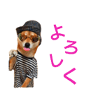 ソラマメタロウ40（個別スタンプ：40）