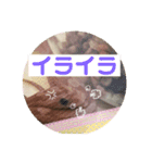 へび部通信（個別スタンプ：5）