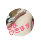 へび部通信（個別スタンプ：7）