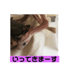 へび部通信（個別スタンプ：10）