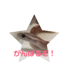へび部通信（個別スタンプ：11）